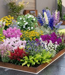 Buntes Staudenbeet ´Multi-Colour´ (12 Pflanzen)