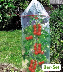 Tomaten-Reifehaube 3er-Set