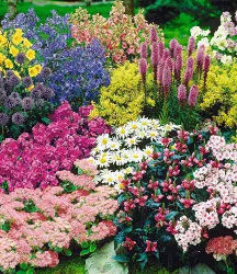 15er Staudenbeet 'Gartenfreude' für 5-6m²