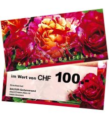 Geschenk-Gutschein im Wert von 100 CHF (1 Stück)
