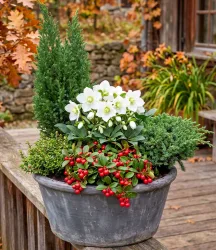 5er Herbst-Set 'Berry & Bloom'