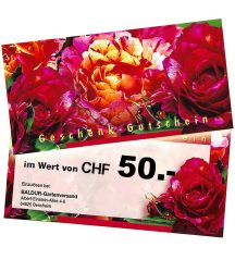 Geschenk-Gutschein im Wert von 50 CHF (1 Stück)