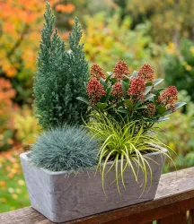 4er Herbst-Set 'Forest Friends'