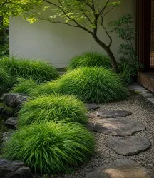 Japanisches Berggras Hakonechloa macra