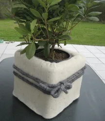 Winterschutzmatte aus Schafwolle 'naturweiß' 200x20 cm