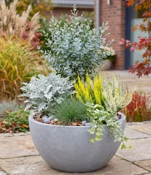 5er Herbst-Set 'Silver Breeze'