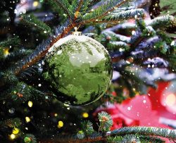Große Weihnachtskugel 20 cm Grün Wetterfeste XL Christbaumkugel Außen und Innen