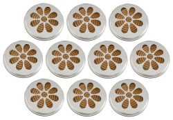 10 x 10 Citronella Rauchspiralen mit Halter Mückenschutz Insektenschutz
