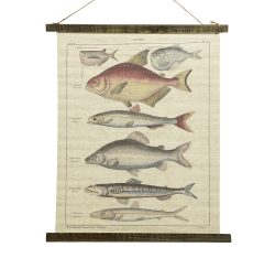 Schulwandkarte Wandbild Fische Lachse Biologie Nostalgie Leinwand 72x60cm