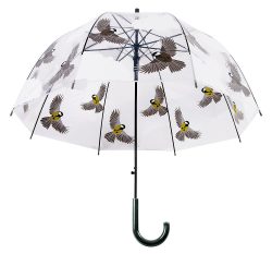 Regenschirm Vögel beidseitig Transparent Stockschirm Durchsichtig