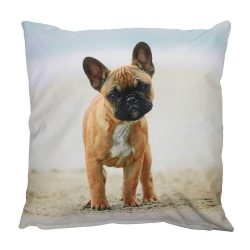 Outdoor Kissen Hundemotiv Dogge Gartenkissen Hund Wasserabweisend 40 x 40 cm