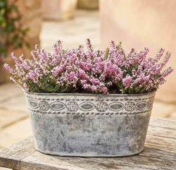 Zinktopf Pflanztopf Zink Blumentopf Oval Lang Landhausstil Antik-Grau 27 cm