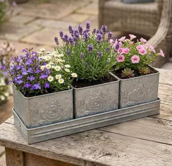 Zink Blumentopf Set Vintage-Stil 3 Stück mit Tablett Pflanzgefäß Kräutertopf