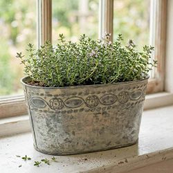 Zinktopf Pflanztopf Zink Blumentopf Oval Lang Landhausstil Antik-Grau 22 cm