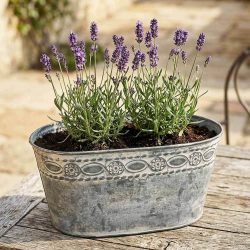 Zinktopf Pflanztopf Zink Blumentopf Oval Lang Landhausstil Antik-Grau 32 cm