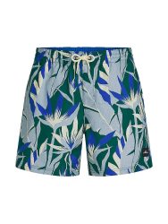 O'NEILL Herren Beachshorts Print blau | L