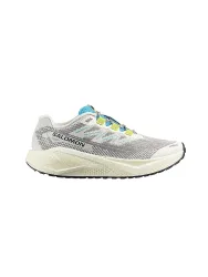 SALOMON Herren Traillaufschuhe Aero Blaze 3 GRVL beige | 44 2/3