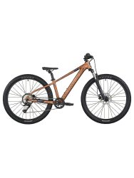 SCOTT Jugend Fahrrad Roxter 600 braun