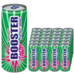 Booster Energydrink Cactus Fruit 24x 0,33L Dose