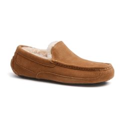 Ugg Ascot-7 40
