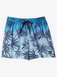 Quiksilver EVERYDAY MIX VOLLEY YTH 14-12 12