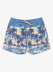 Quiksilver - Everyday Straight Volley 15, L, Blau