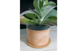 Kork-Untersetzer Hellbraun | ⌀ 30 cm