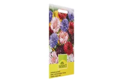 Select Kornblume gemischt