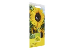 Select Sonnenblume Grossblumig