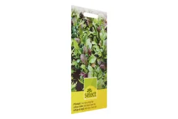 Select Pflücksalat Asia Spicy Green Mix
