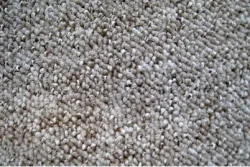Teppich Ascona Beige | 5 m