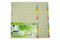 Oecoplan Kartonregister A4 12-teilig