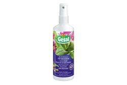 GESAL Blattpflege Orchideen Spray