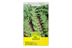 Select Rosenkohl Hilds Ideal