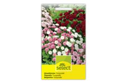SELECT Gänseblümchen POMPONETTE