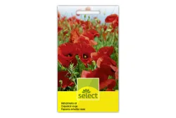 Select Klatschmohn Rot