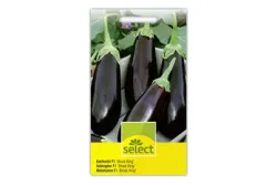 Eierfrucht Black King F1
