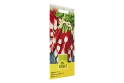 Select Radieschen Pernot