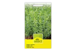 Select Estragon Russisch