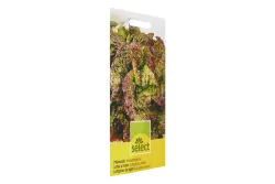 Select Pflücksalat Winterlattughino