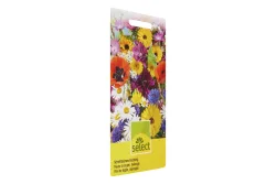 Select Schnittblumen Einjährig Gemischt