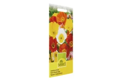 Select Papaver Islandmohn Mischung
