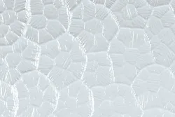 Tecolux Glas Waben | 100 × 100 × 0.5 cm