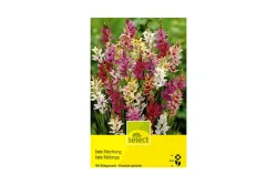 select Klebschwertel Ixia Mischung