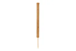 Windhager Pflanzenstab Kokos | 80 cm