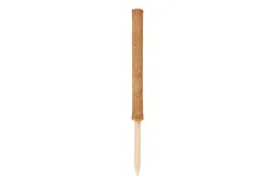Windhager Pflanzenstab Kokos | 60 cm