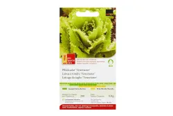 ProSpecieRara Bio Pflücksalat Venezianer