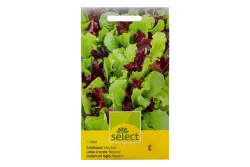 Select Schnittsalat Mesclun