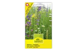 Select Wildblumen Trockenwiese