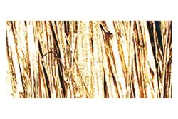 Rayher Naturbast | 25 g